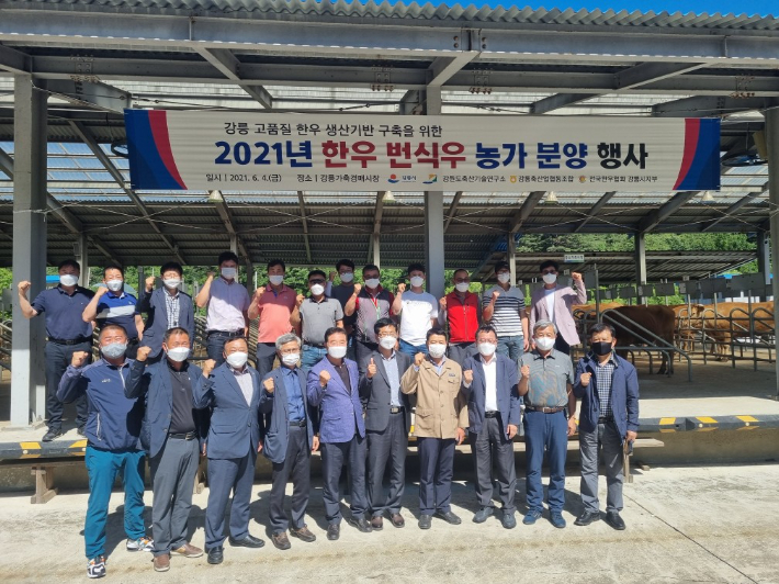 강릉 한우 명품화 추진…우량암소 농가에 분양