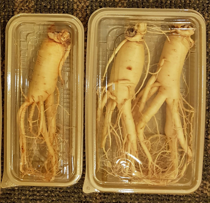 농진청, 인삼 소비촉진 캠페인…세척 포장 판매