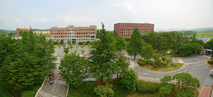 선린대학교 간호학과, 경북 유일 보건교사 양성과정 A등급