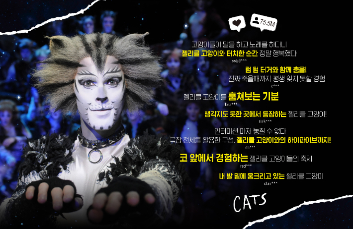 뮤지컬 캣츠 내한공연 배우들 관객과의 눈맞춤 기대