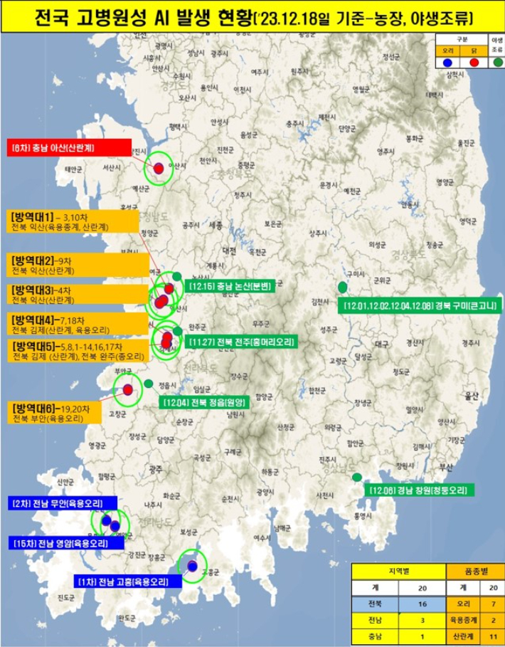 전북서 고병원성 AI 속출 전국 80%…달걀 유통 영향 無