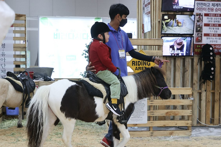 정부, 승마 대중화 추진…학생들 승마 체험 확대·농촌 관광에도 연계