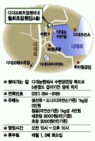 [이집이 맛있대] 부산 다대동 ‘철희초장 횟집’