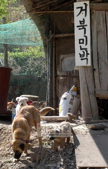 [오지로 떠나는 시간여행] (2)영월 가정마을~정선 거북마을