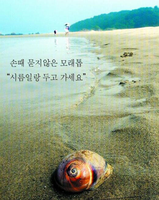 가족과 떠난 가을섬 승봉도