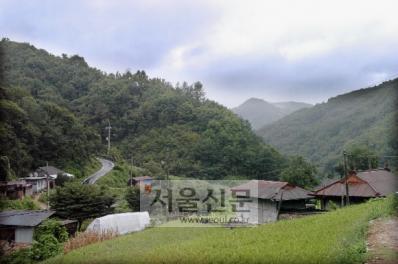 [오지로 떠나는 시간여행] (27) 충북 영동 장선마을