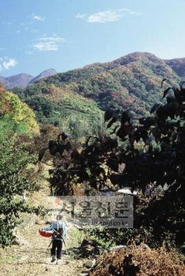 [지리산 산마을 이야기](4)전남 구례군 산동면 현천마을