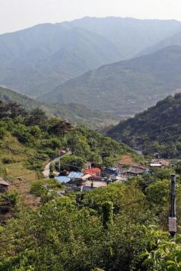 [지리산 산마을 이야기](28)경남 하동 화개 부춘마을
