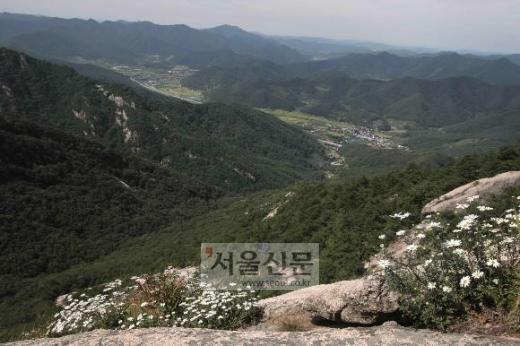[현진오의 꽃따라 산따라] (30) 경북 문경시 조령산
