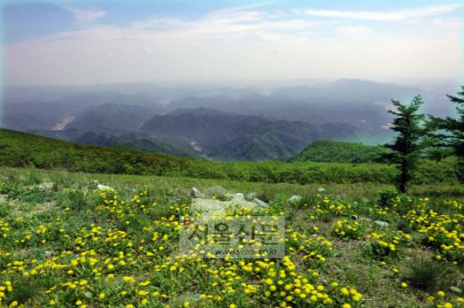 [도시와 산] (7) 경북 영양 일월산