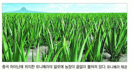 [코리아 대표기업 세계로-유통ㆍ제과] 유니베라