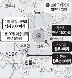 안동 구제역 방역대 뚫린 듯