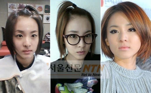 산다라박 단발, 한예슬 숏커트…女스타 헤어 변신 ‘눈길’