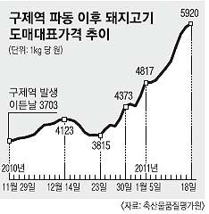 돼지고기 도매가  연일 최고치 경신
