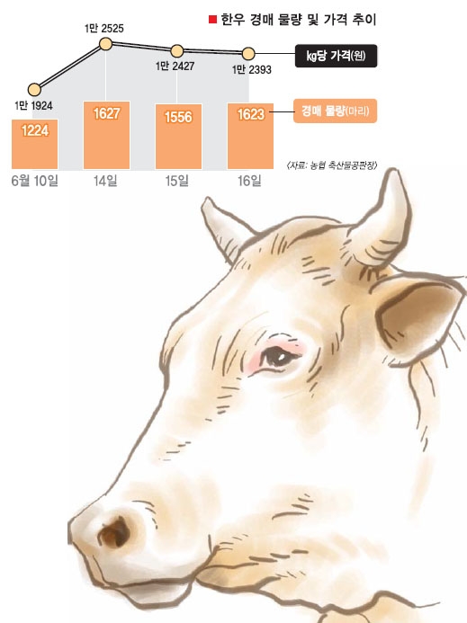 반짝대책 ‘반값한우’ 그 뒤에서 웃는…‘고기의 神’ 삼겹살