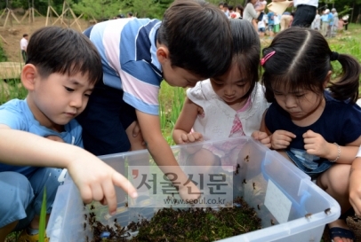 산개구리·두꺼비 1700마리 자연으로