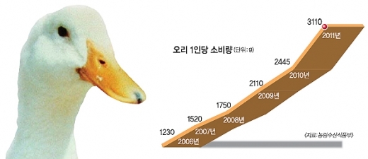[Weekend inside] 오리, 복날 인기 메뉴로 날다