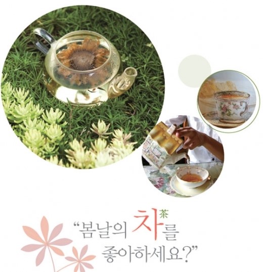 “봄날의 차茶를 좋아하세요?”