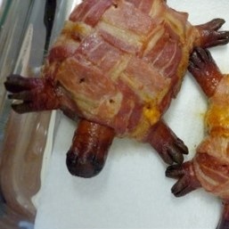 ‘8가지 맛 꿈의 피자’ 이어 ‘거북이 버거’도 신기하네