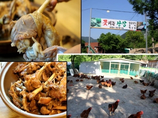 초복, 대구맛집 ‘꽃피는 산장’에서 토종닭백숙으로 원기회복