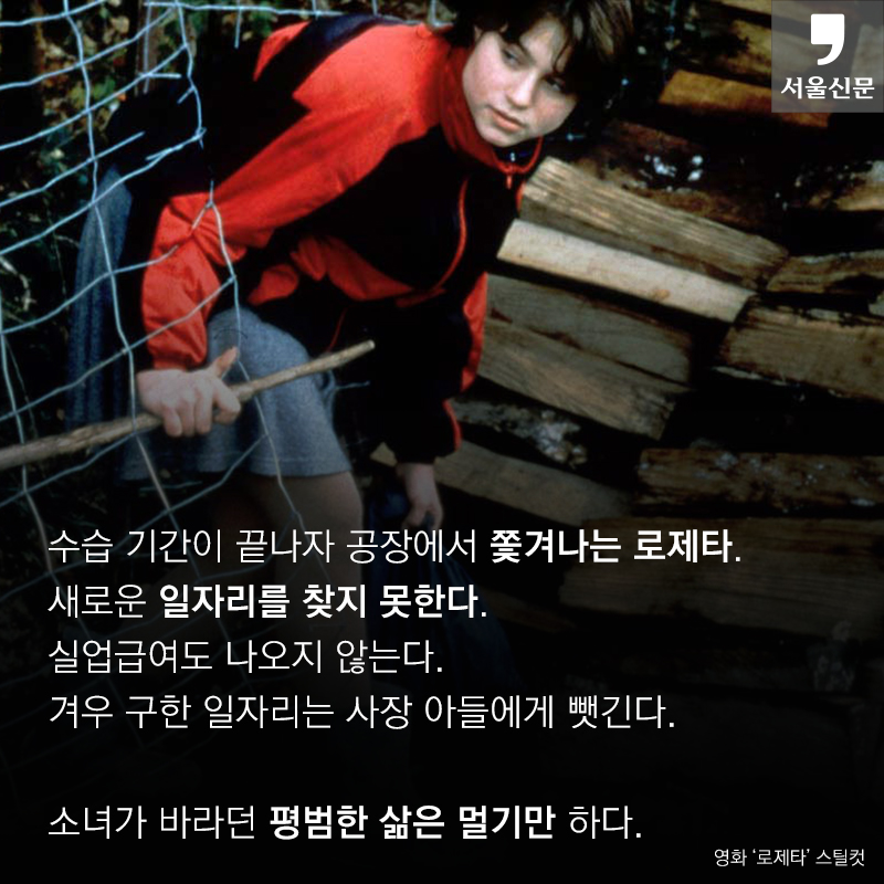 [카드뉴스] ‘성실한 나라의 로제타’