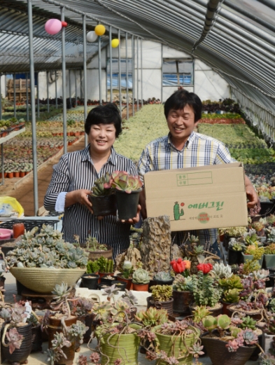 [新전원일기] <8> 年1억대 수익 다육이 농장 ‘에버그린’
