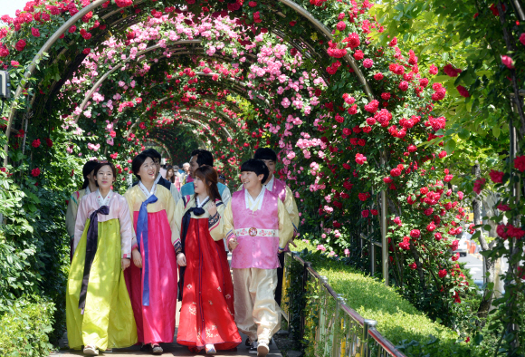 서울장미축제 내일 개막… “한복 입고 오세요”