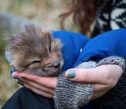 SSI_20161123151919_V_99_20161123153203.j