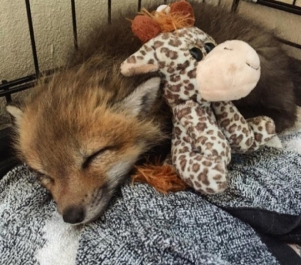 SSI_20161123151945_V_99_20161123153203.j