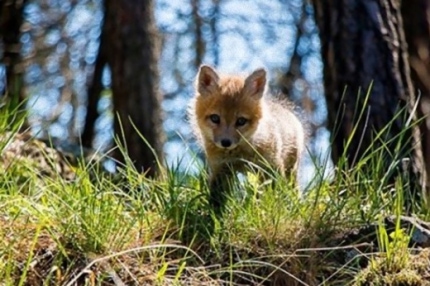 SSI_20161123152049_V_99_20161123153203.j