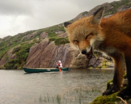 SSI_20161123152146_V_99_20161123153203.j