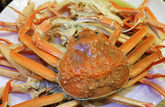 [新국토기행] 사계절 신비한 자연과 진미… 德 넘치는 영덕