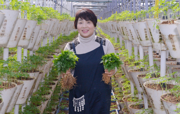 [新전원일기] 3억 캐는 스마트팜 심마니