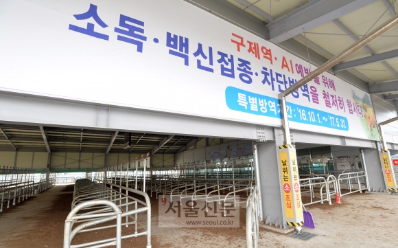 [서울포토] 텅 빈 우시장