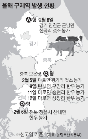 보은서만 네 번째 구제역 확진… 전국 여섯 번째