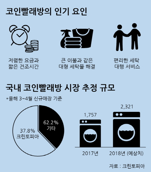 실속 있는 ‘코인 빨래방’ 성장세… 건조 시간과 전기 요금을 한 번에 절약