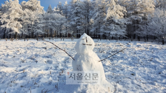 雪國을 찾아서… 冬花를 만나다
