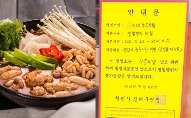 “끓였으니 괜찮다” 음식물 재사용 동태탕집…“장사 안하겠다”[이슈픽]