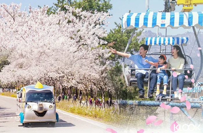 클룩, 남산·인왕산 벚꽃 감상할 수 있는 오픈탑 버스 투어 운영