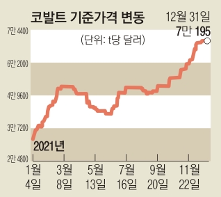 희소자원 매장 편중·中 영향력 절대적… 탄소중립 둘러싼 ‘광물 전쟁’