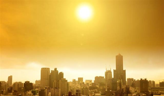 2도 상승시 지구 생물 3분의2 멸종 불가피… IPCC 6차 제2실무그룹 보고서