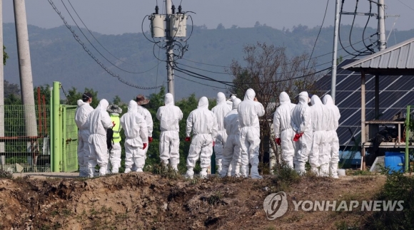 경북도, 구제역 발생 청주농가 방문 사료차 드나든 구미농장 이동 제한