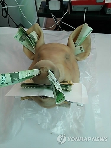 여당 의원, 고사상 돼지머리에 돈 꽂았다가 결국 송치