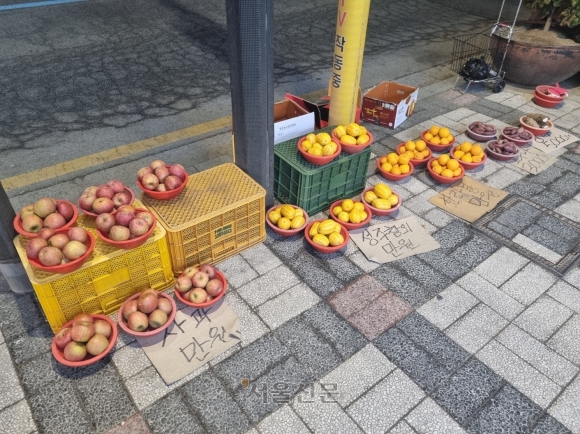 “금값된 과일·채소, 너무 비싸 ‘막판 떨이’ 아니면 폐기도”…사는 이도 파는 이도 ‘악 소리’[위기의 밥상]