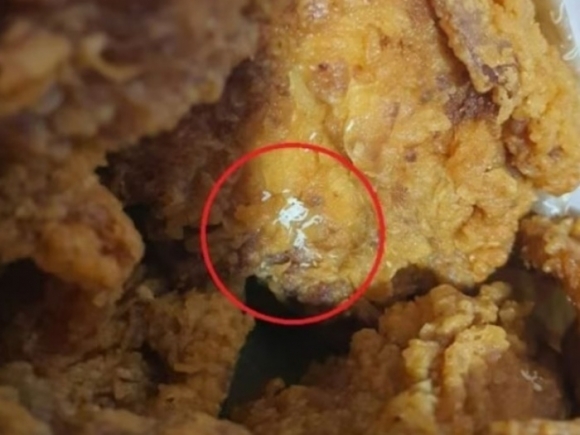 “어머! 파리알 아냐?”…대형마트 치킨서 파리 ‘꿈틀’
