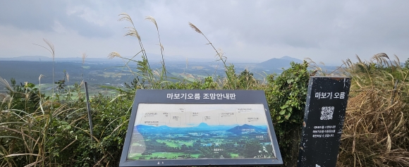 나만의 비밀화원으로 떠납니다… 은빛 가을바다와 인사하셨나요 [강동삼의 벅차오름]