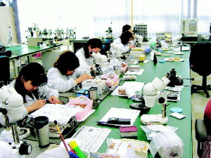 [지역혁신 현장을 가다] 지역혁신상 수상 부산기업·단지