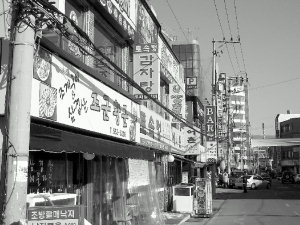 창업 분석 및 올해 시장 전망