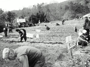 [이웃과 함께 만드는 웰빙 실버]씨뿌리고 거름주며 건강 챙겨