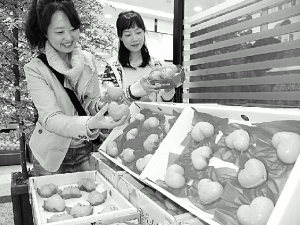 [포토뉴스] 하트 밀감 신기하죠?